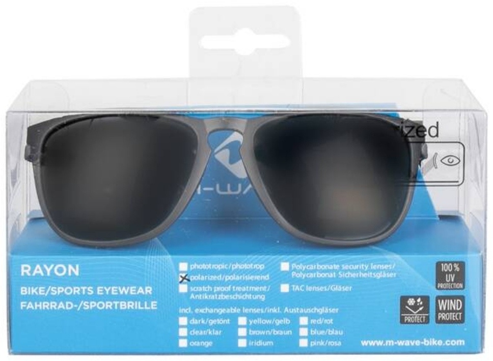 Очки Rayon F1 smoke lens,